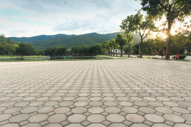 Best Residential Driveway Paver Services  in Blackwood, NJ